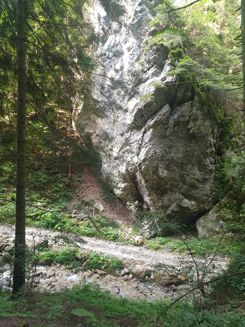 From Brasov: Hiking in Piatra Craiului National Park - Inclusions and Restrictions