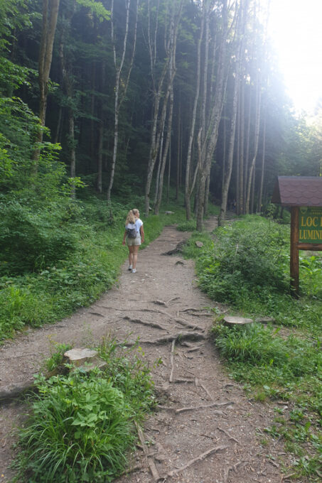 From Brasov: Hiking in Piatra Craiului National Park - Preparation and Meeting Point