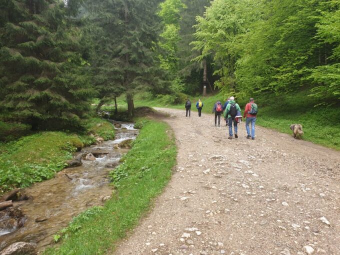 From Brasov: Hiking in Piatra Craiului National Park - Frequently Asked Questions