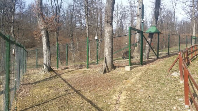 From Brasov: Libearty Bear Sanctuary Guided Tour - Included Amenities