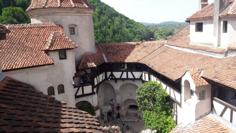 From Brasov: Peles Castle, Bran Castle & Cantacuzino Castle - Peles Castle