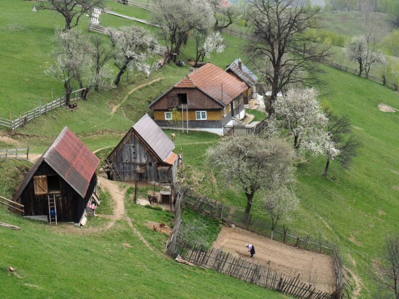 From Brasov: Piatra Craiului National Park 2-Day Guided Trek - Key Points