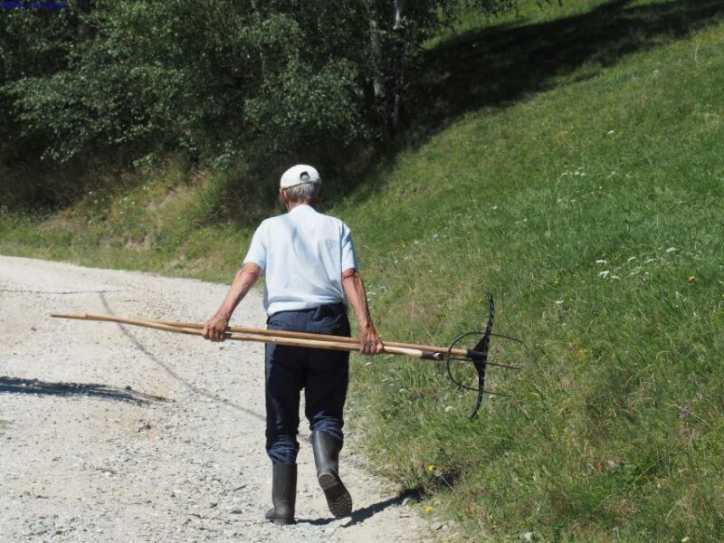 From Brasov: Piatra Craiului National Park 2-Day Guided Trek - Included in the Tour