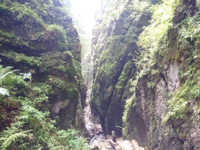 From Brasov: Piatra Craiului National Park 2-Day Guided Trek - Frequently Asked Questions