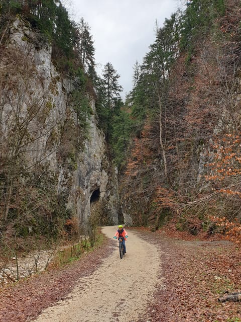 From Brasov : Piatra Craiului National Park on Ebike - Scenic Views and Bike Ride