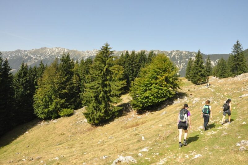 From Brasov: Piatra Craiului National Park Private Day Tour - Itinerary