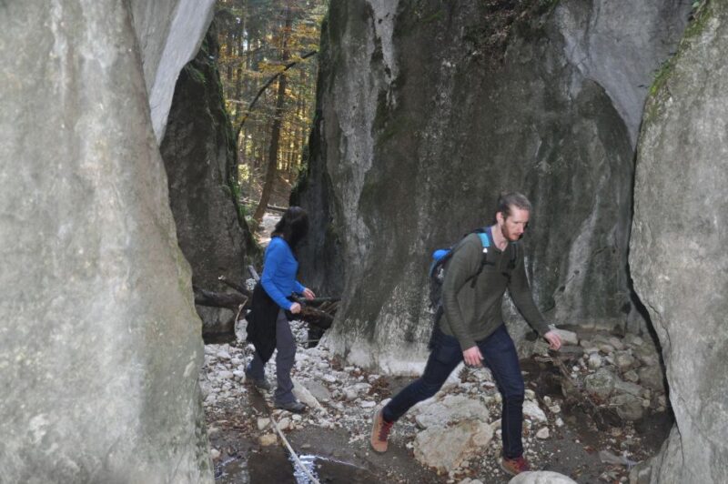 From Brasov: Piatra Craiului National Park Private Day Tour - Preparation and Recommendations
