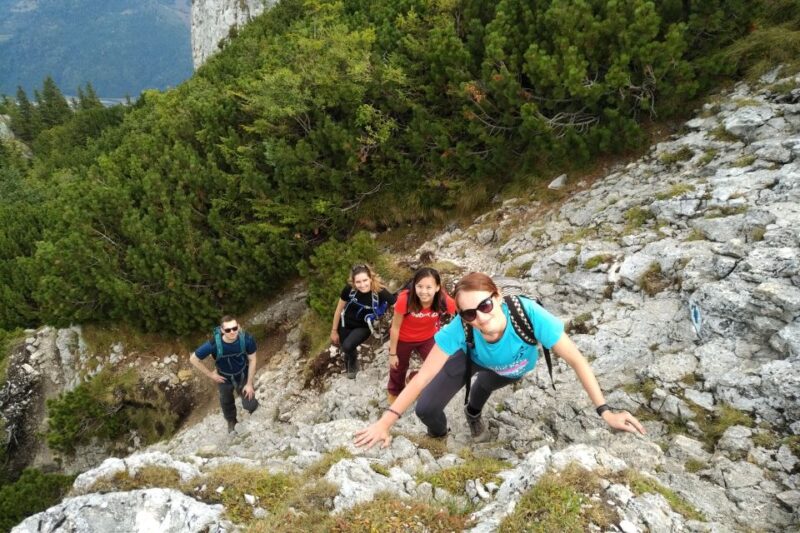 From Brasov: Piatra Craiului National Park Private Day Tour - Customer Reviews