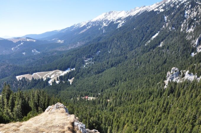 From Brasov: Piatra Craiului National Park Private Day Tour - Value for Money