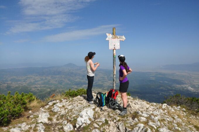 From Brasov: Piatra Craiului National Park Private Day Tour - Guide Professionalism