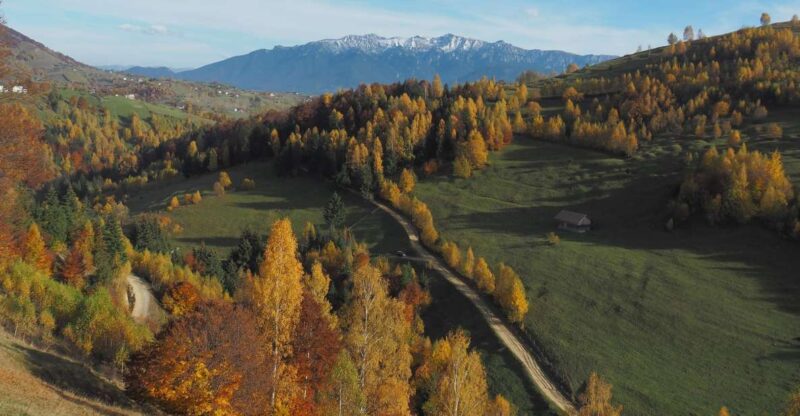 From Brasov: Romanian Mountain Villages Day Tour - Experience and Activities