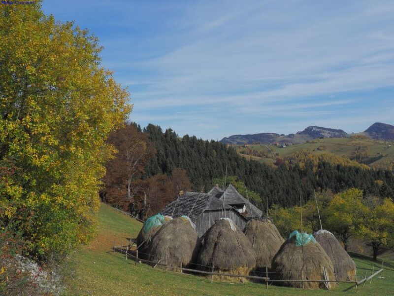 From Brasov: Romanian Mountain Villages Day Tour - Exploring Traditional Villages