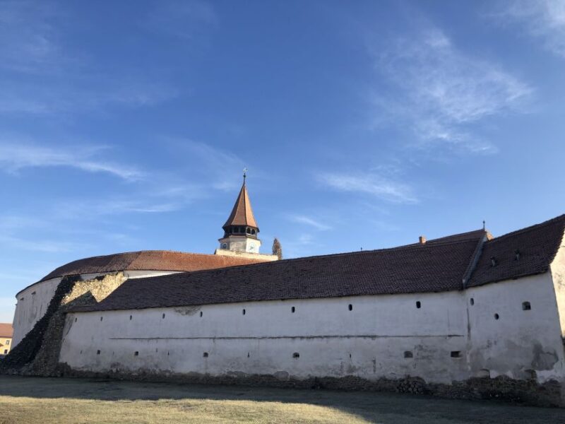 From Brasov: Small-Group Half-Day Fortified Churches Tour - Itinerary