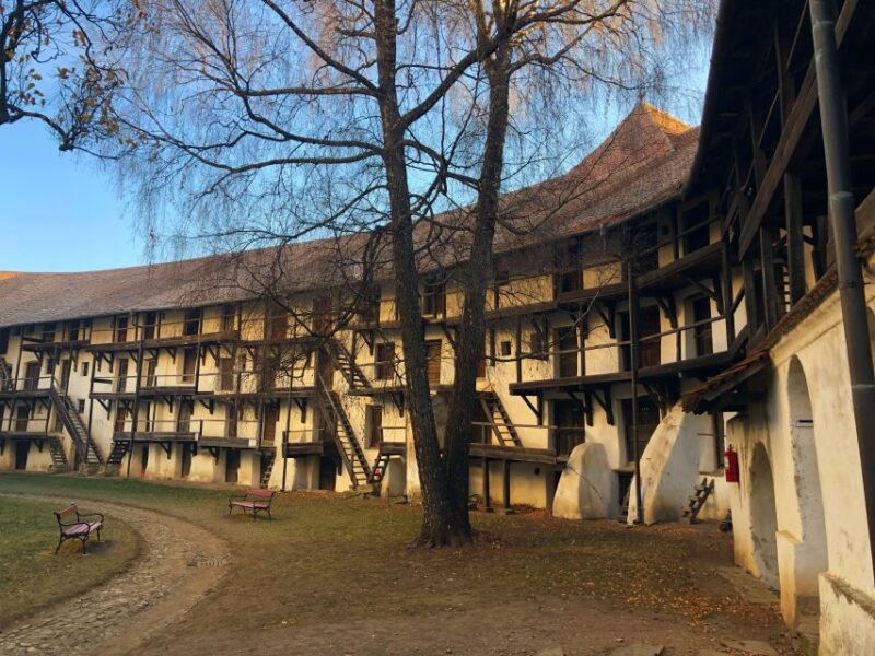 From Brasov: Small-Group Half-Day Fortified Churches Tour - Discovering Harman