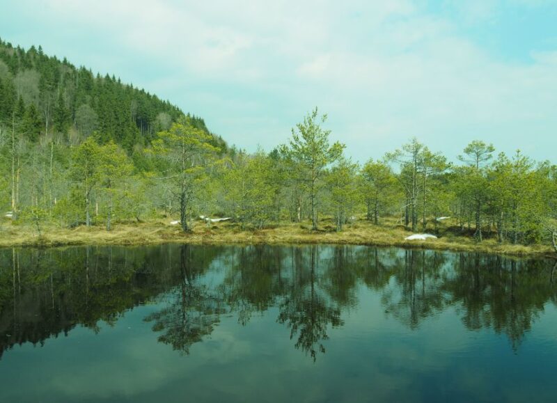 From Brasov: Small-Group Volcanic Lake Day Trip - Itinerary Highlights