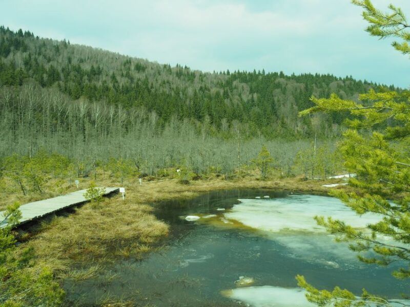 From Brasov: Small-Group Volcanic Lake Day Trip - Inclusions