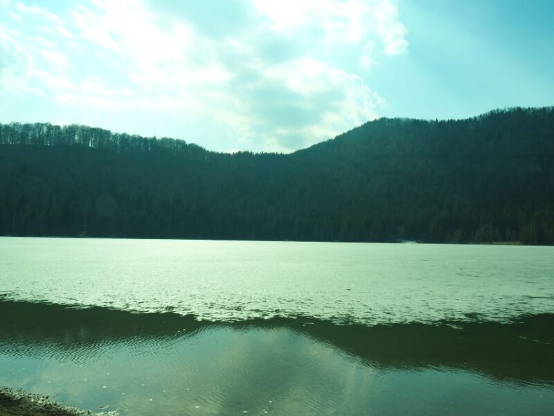 From Brasov: Small-Group Volcanic Lake Day Trip - Unique Flora and Fauna