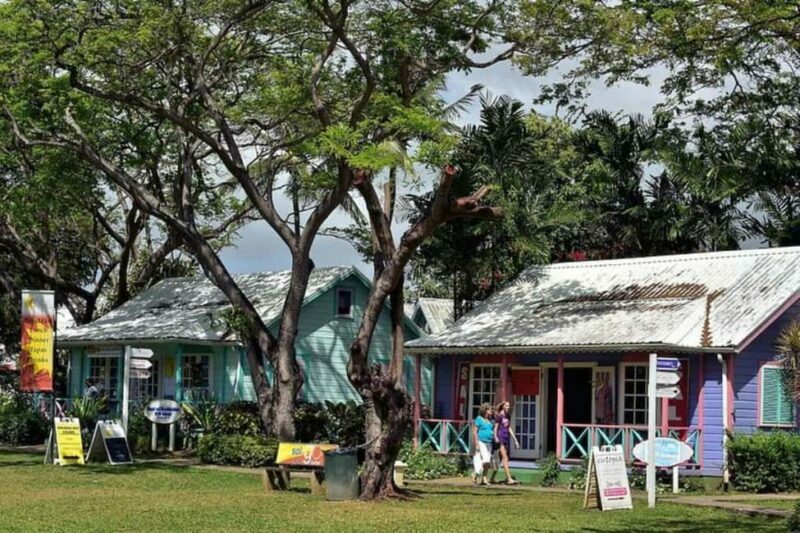 From Bridgetown: Barbados Coast To Coast Half-Day Tour - Key Points