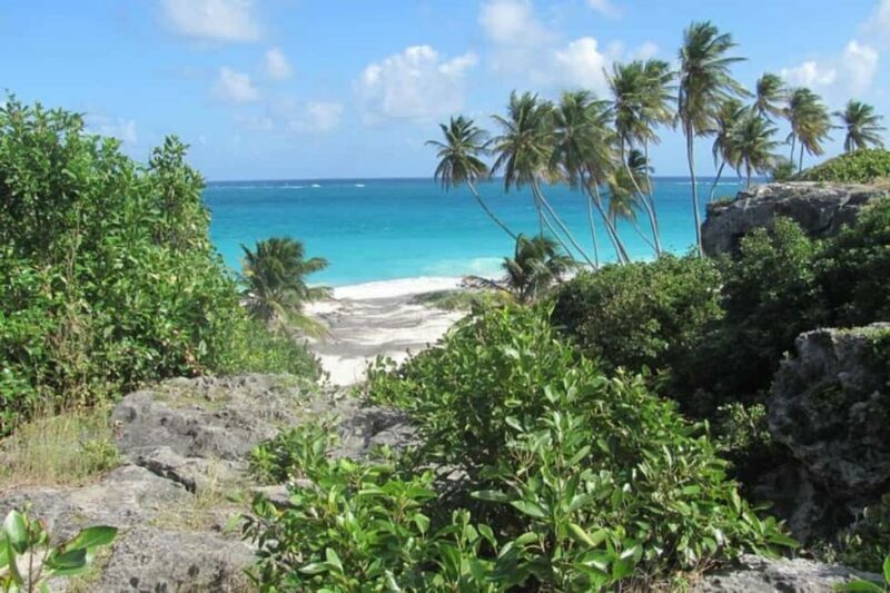 From Bridgetown: Barbados Coast To Coast Half-Day Tour - An Overview of the Experience