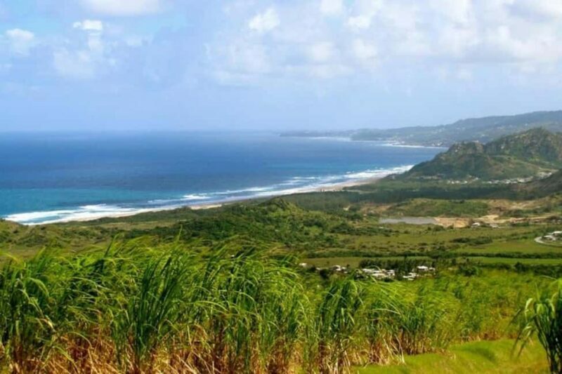 From Bridgetown: Barbados Coast To Coast Half-Day Tour - North Point and Animal Flower Cave