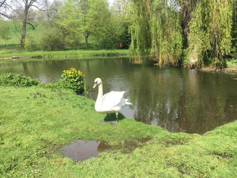 From Brighton: Leeds Castle & Canterbury Full-Day Trip - Aviary and Adventure Golf