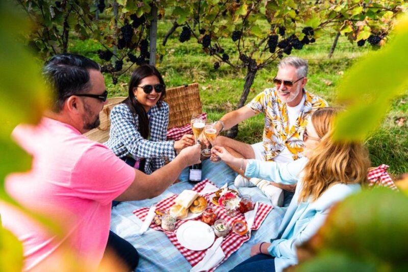 From Brighton: Sussex Wine Tour on a Vintage Bus With Lunch - Homemade Vineyard Lunch