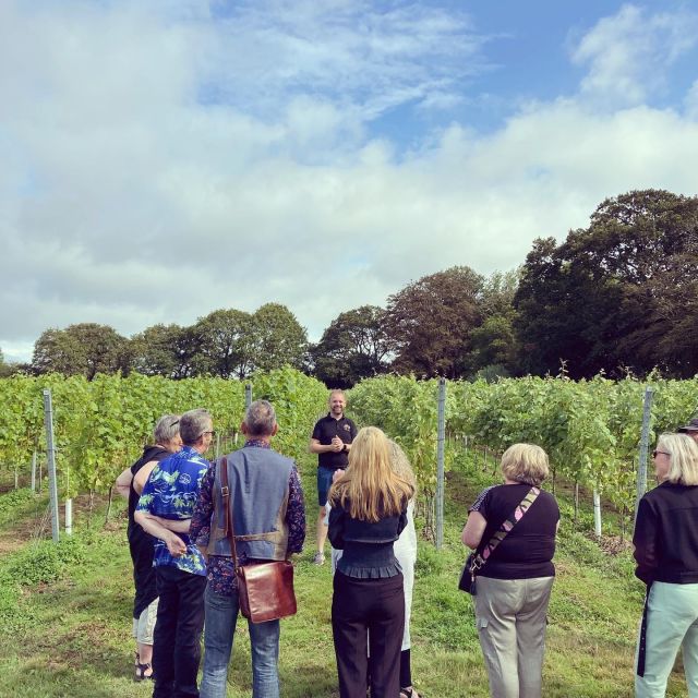 From Brighton: Sussex Wine Tour on a Vintage Bus With Lunch - Iconic London Routemaster Bus