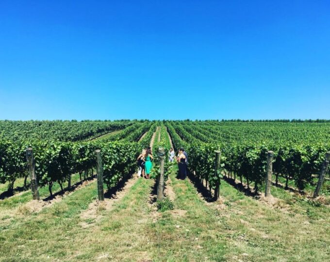 From Brighton: Sussex Wine Tour on a Vintage Bus With Lunch - Scenic South Downs Countryside