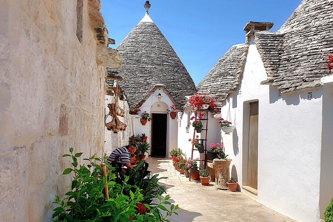 From Brindisi: Alberobello, Locorotondo, Ostuni & Apulian Brunch - Visit to Alberobello