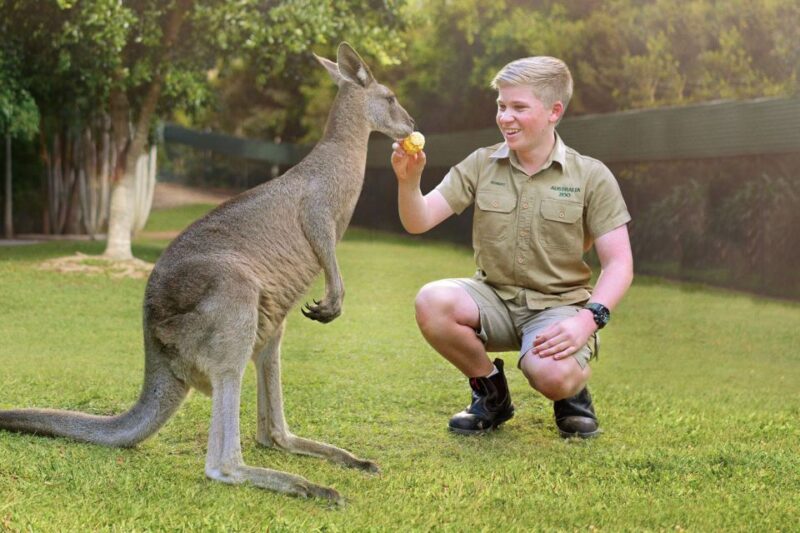 From Brisbane: Australia Zoo Ticket and Roundtrip Transfer - Key Points