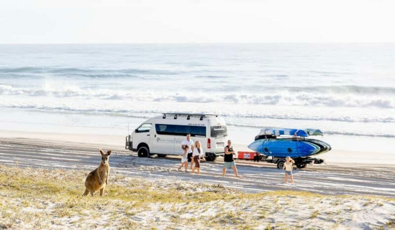 From Brisbane: Bribie Island Day Trip and 4x4 tour - Why This Tour Stands Out