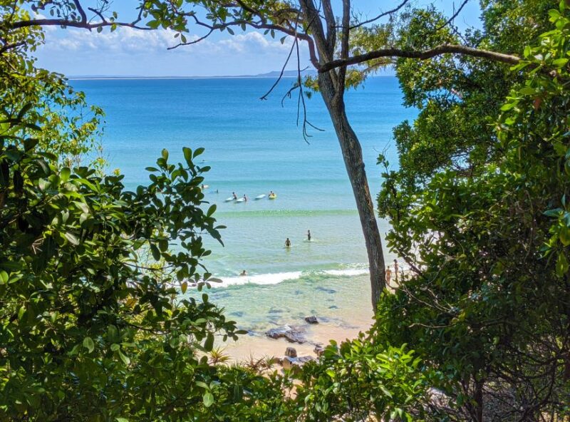 From Brisbane: Day Trip to Noosa, Eumundi Markets - The Ginger Factory