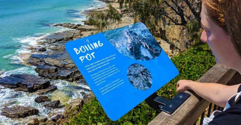 From Brisbane: Day Trip to Noosa, Glass House Mtns and Zoo - Key Points