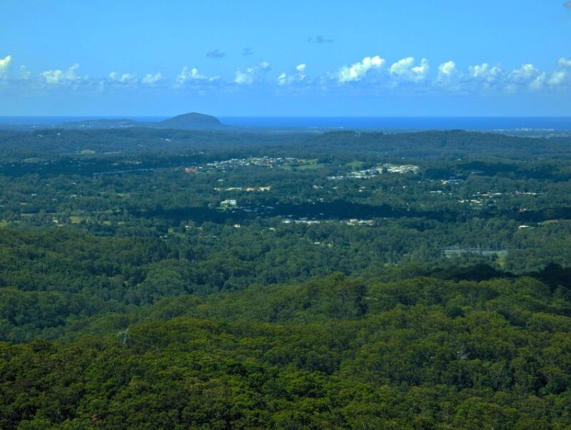 From Brisbane: Day Trip to Noosa, Glass House Mtns and Zoo - The Ginger Factory