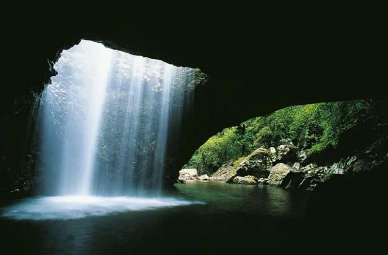 From Brisbane: Gold Coast Day Tour with Lunch - The Value Proposition