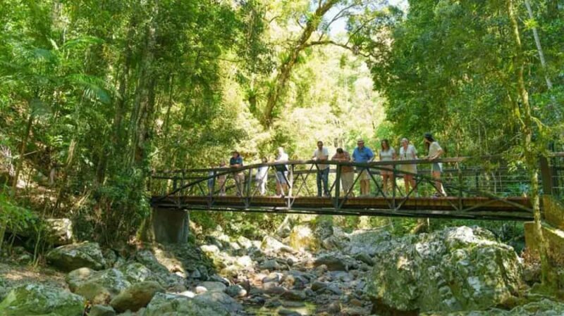 From Brisbane: Gold Coast Day Tour with Lunch - Who Will Love This Tour?