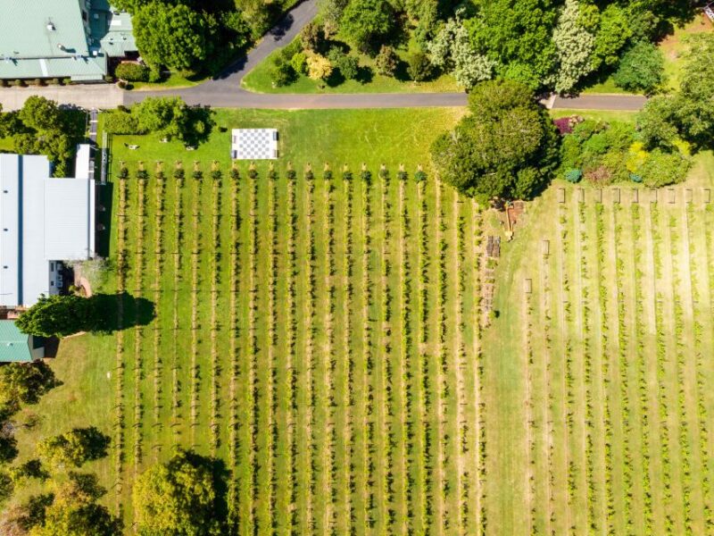 From Brisbane: Luxury Winery Tour and Gourmet Lunch - Booking and Pricing