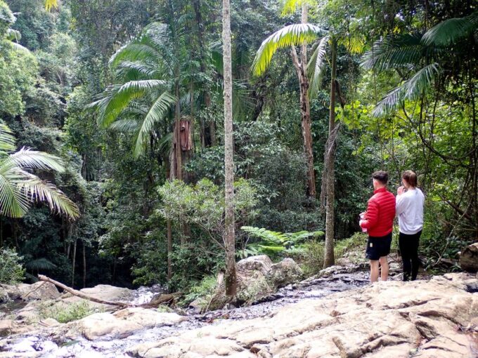 From Brisbane: Maiala Rainforest Private Tour - Frequently Asked Questions