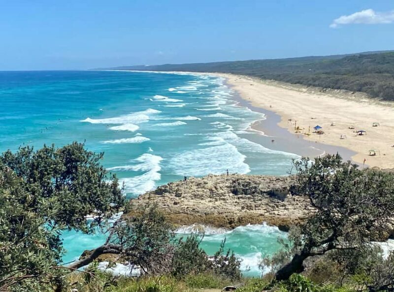 From Brisbane: North Stradbroke Island Wildlife Adventure - Key Points