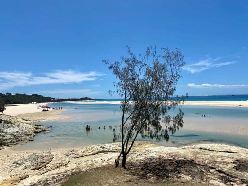 From Brisbane: North Stradbroke Island Wildlife Adventure - The Departure and Transportation