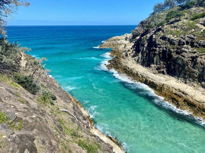 From Brisbane: North Stradbroke Island Wildlife Adventure - Myora Springs and Cylinder Beach