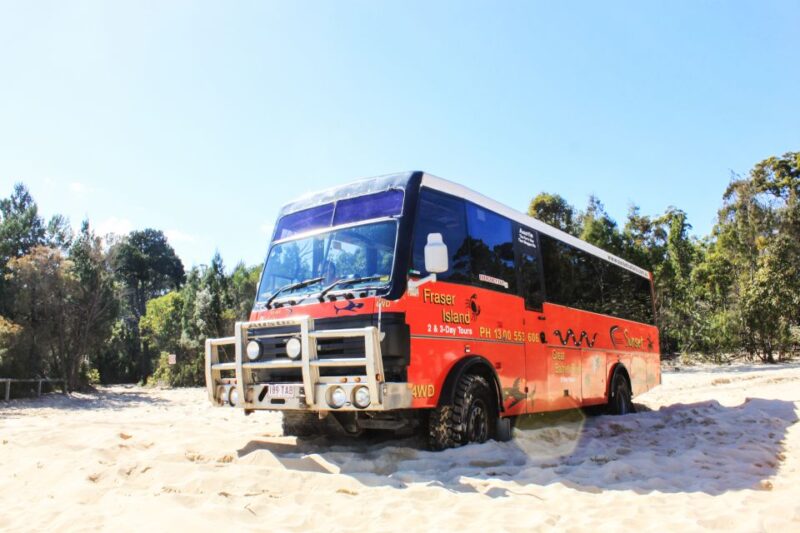 From Brisbane or Gold Coast: Moreton Island Full-Day Trip - Snorkeling at Tangalooma Shipwrecks