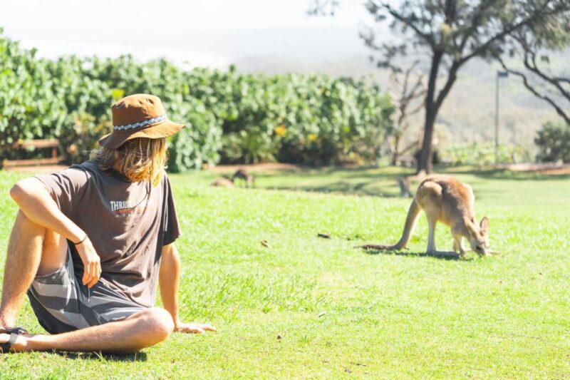 From Brisbane: Stradbroke Island Day Tour - Suitable for All Ages