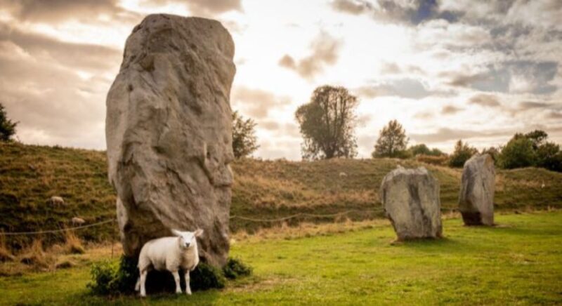 From Bristol: Stonehenge and Cotswold Villages Day Tour - Live Tour Guide