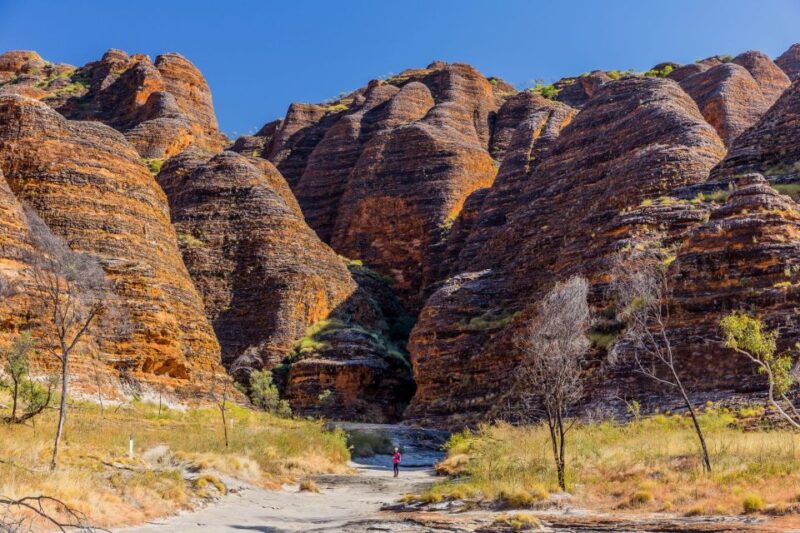 From Broome: Bungle Bungle Explorer Scenic Flight - Key Points