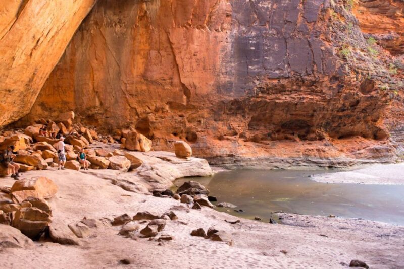 From Broome: Bungle Bungle Explorer Scenic Flight - Walking Experience