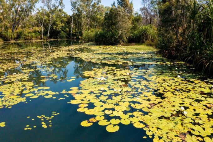 From Broome: Mitchell Falls Scenic Flight - Dry Season - Frequently Asked Questions