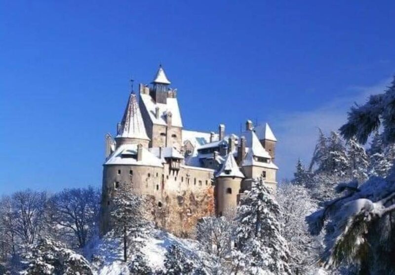 From Bucharest: 2-Day Tour to Brasov and Sighisoara - Accommodation and Inclusions