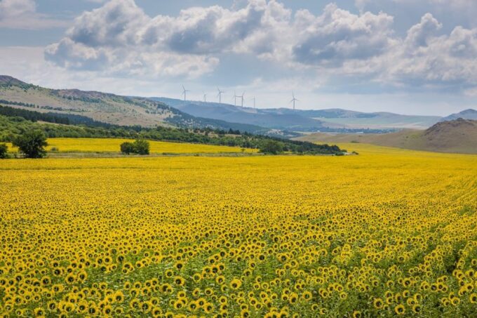 From Bucharest: 3-Day Bucovina & Transylvania Tour - Accommodation and Meals