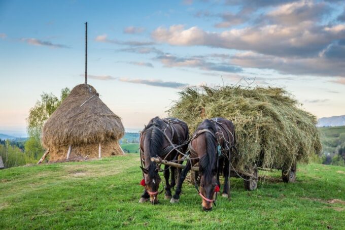 From Bucharest: 3-Day Bucovina & Transylvania Tour - Cancellation and Refund Policy